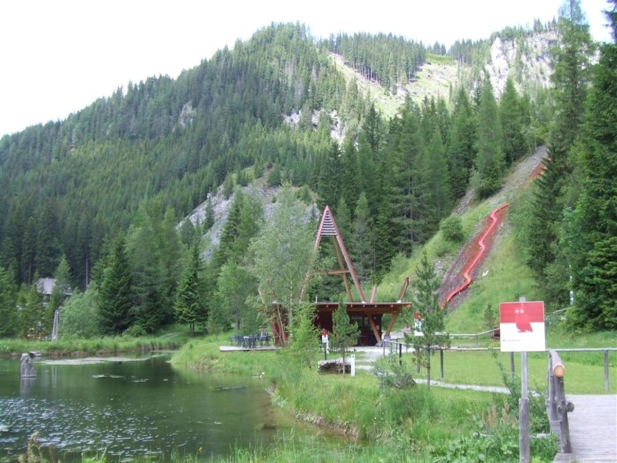 Chalet In Hohentauern With In House Wellness Bagian luar foto