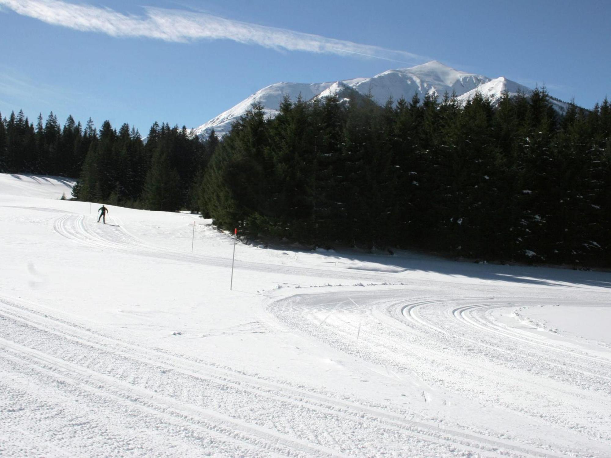Chalet In Hohentauern With In House Wellness Bagian luar foto